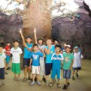 무주곤충박물관 이미지