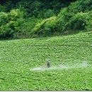 외씨버선길(장계향디미방길) 이미지