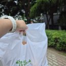 빵굽는푸른마을