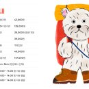 피크닉댕댕 네이버블로그