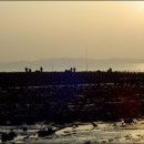 노루메기 이미지