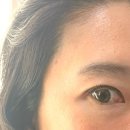 아이센스안경. 콘택트 | 원데이컬러렌즈추천 위드렌즈 김해 삼정점 뉴트럴무드 원데이 브라운