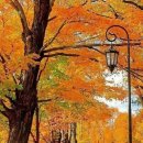 시월은 또 그 자리에서... 이미지