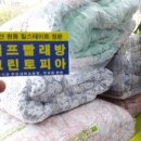 다숲세탁 이미지