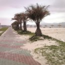 증도초등학교 이미지