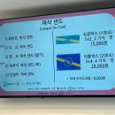 너티위티 | 여수 디저트 선물 추천 랑그드샤 맛집 너티위티 후기