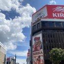 구청사거리 | 최애가 되어버린 8월 훗카이도 여행 후기[2탄]