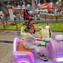 진향태권도장 이미지