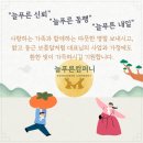 늘푸른컴퍼니 네이버블로그