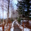 베리온리조트 이미지