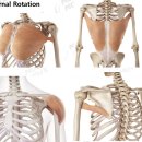 어뉴바디 PT&Pilates 이미지