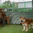 거야농장 이미지