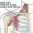 아나파의원 이미지