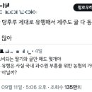 제주탕후루