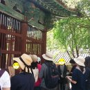 문화체험학습강사 이미지