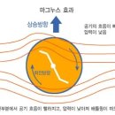 마그누스