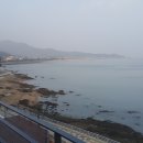 신비의바닷길민박 이미지