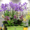 석곡1동 이미지