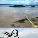 남양우도레인보우교 이미지