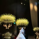 엑스포로123번길(유성-105) 이미지