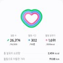 화절령 화장실 | 가을 운탄고도5길 트레킹 (알레버스)