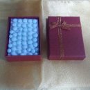 바른 애견 이미지