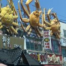 구룡포1번지수산 - 114312 | 구룡포1번지수산
