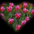 대공원명품세탁 이미지