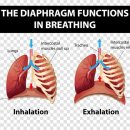 단전호흡 이미지