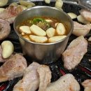 청오돼지들의세상 이미지