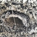 리베라세탁 이미지