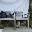 종고산길 이미지