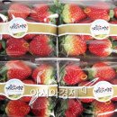 농업회사법인 (주)담은
