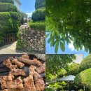 서원숯불구이 이미지