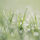 (주)좋은친구들 이미지