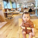 내로라 생활안전 | 아기섬유유연제 오래오래 향기롭다