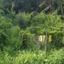 그랜드장 이미지