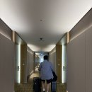 골든카페분식 | 제주가성비숙소 랜딩관 제주신화월드 호텔앤리조트 슈페리어킹 테마파크 빅3제공 숙박후기