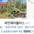 큐브스테이A 네이버블로그