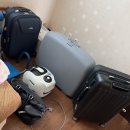 스마일청소방역