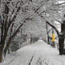 배산체육공원 농구장 이미지