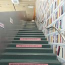 늘봄_어린이공원 | 판교 도서관 두돌 아이랑 어린이열람실 방문 후기 | 주말 주차 꿀팁 포함