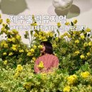 업사이클링팝아트 | 제주 실내 가볼만한곳 | 사진 찍기 좋은 제주홀릭뮤지엄 후기