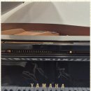 멘토음악학원 이미지