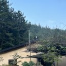 천왕산가든 이미지