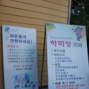 하미양 | 경남 함양 여행 가볼만한곳 / 하미앙 와인밸리