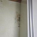 성오로89번길 이미지