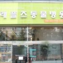 래플즈 동물병원 이미지