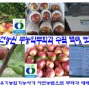 정상농원 이미지