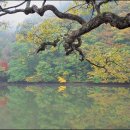 물안개민박 이미지